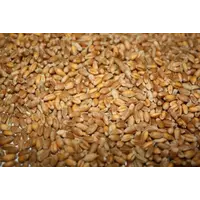 Пшеница MILLING GRADE WHEAT